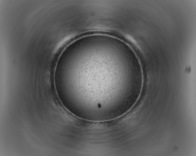 X0000090631307200707311257