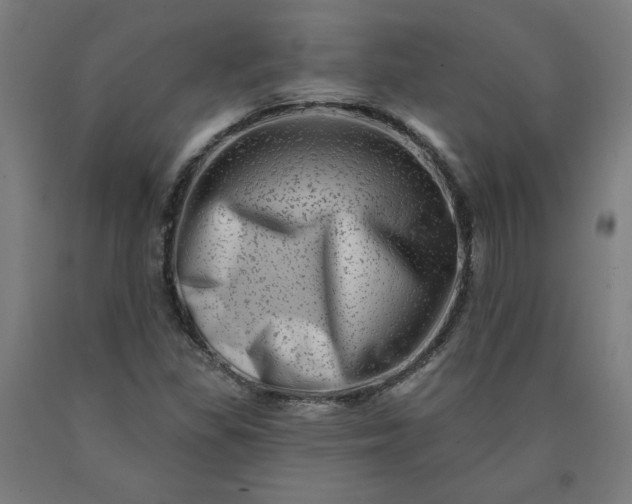 X0000090631309200707311257
