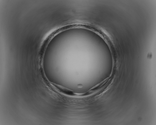 X0000090631310200707311257