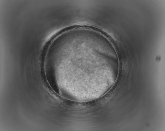 X0000090631311200707311257