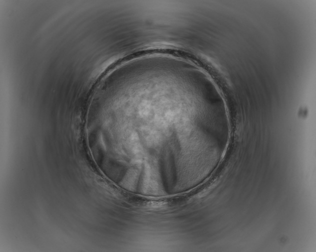 X0000090631313200707311257