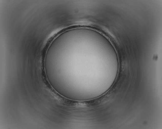 X0000090631315200707311257