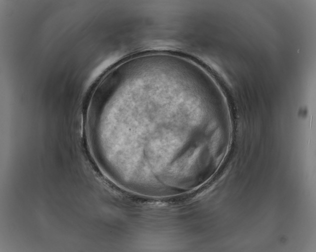 X0000090631317200707311257