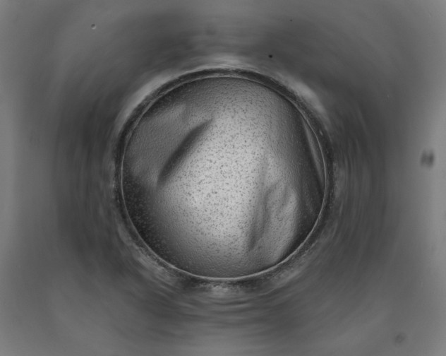 X0000090631318200707311257