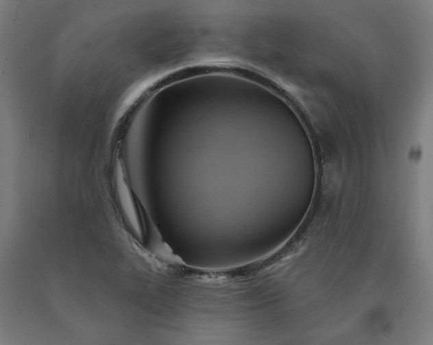 X0000090631319200707311257
