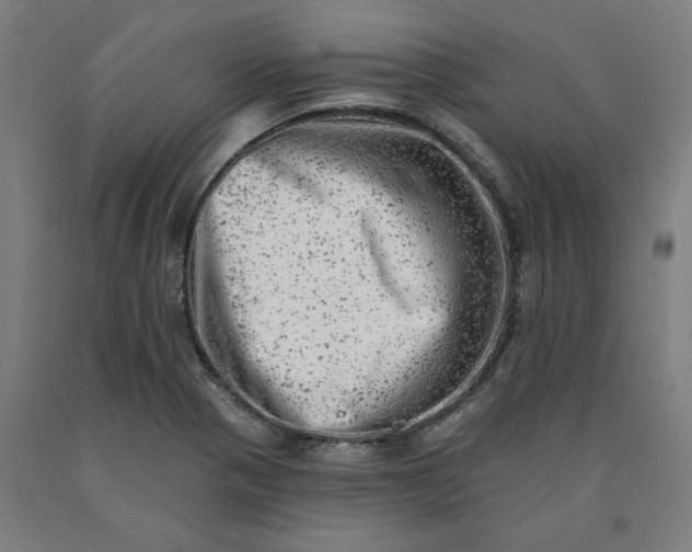 X0000090631321200707311257