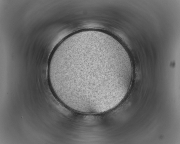 X0000090631322200707311257