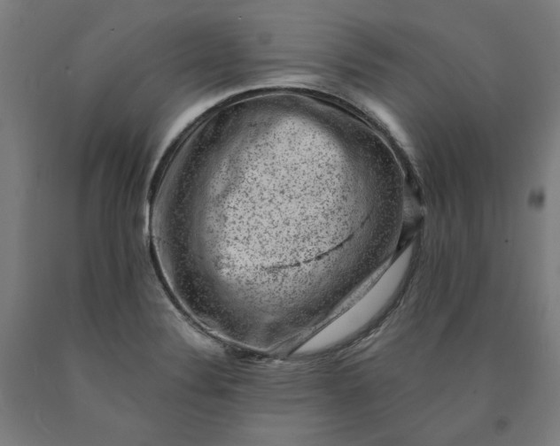 X0000090631324200707311257