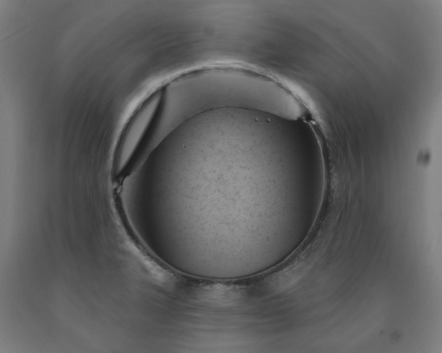X0000090631327200707311257