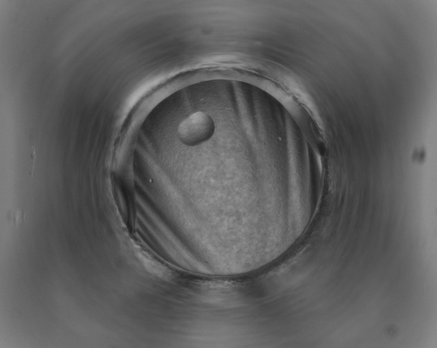 X0000090631328200707311257