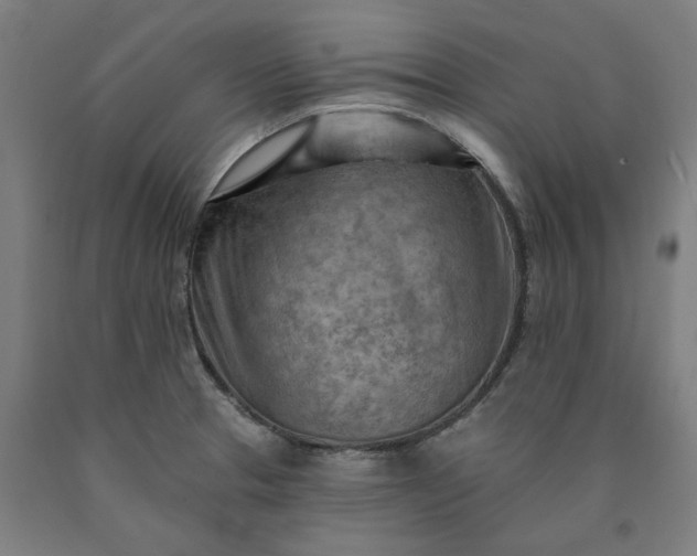 X0000090631329200707311257
