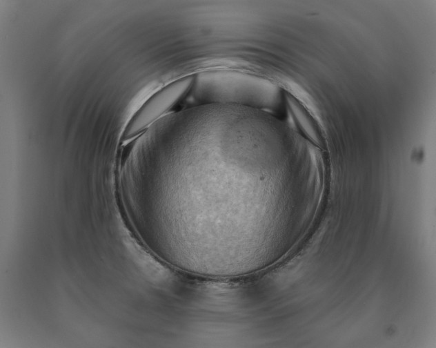 X0000090631330200707311257