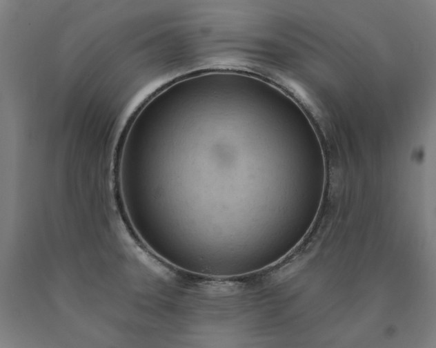 X0000090631331200707311257