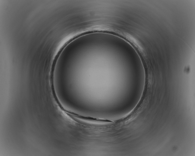 X0000090631334200707311257