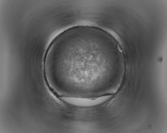 X0000090631335200707311257