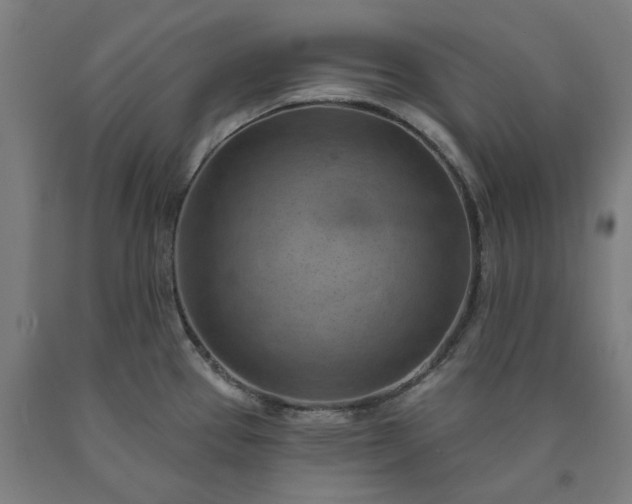 X0000090631337200707311257