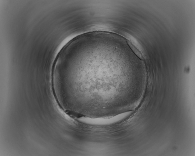 X0000090631339200707311257