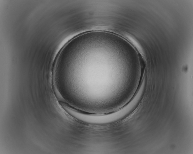 X0000090631340200707311257
