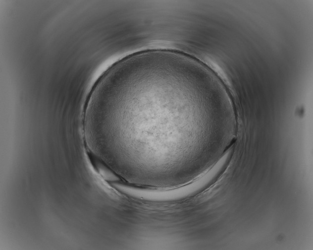 X0000090631342200707311257