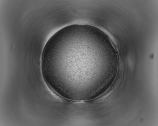 X0000090631343200707311257