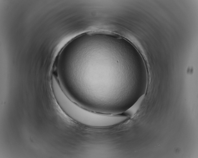 X0000090631344200707311257