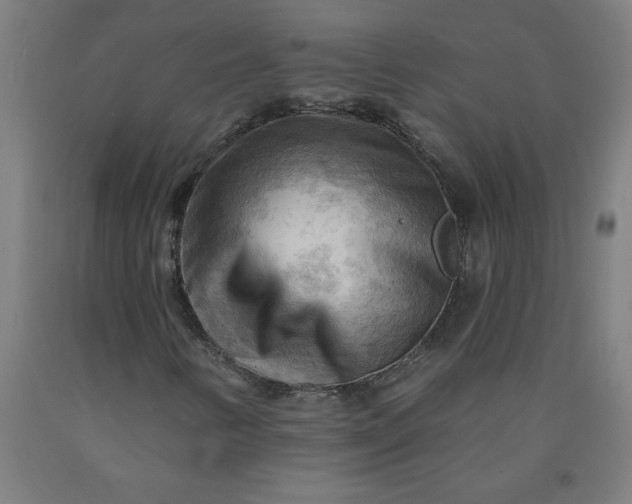 X0000090631346200707311256