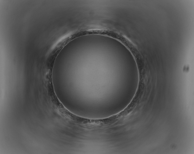 X0000090631351200707311256