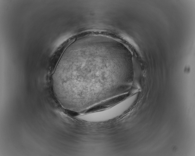 X0000090631352200707311256