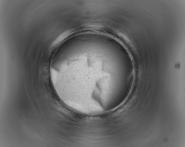 X0000090631354200707311256