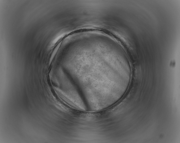 X0000090631355200707311256