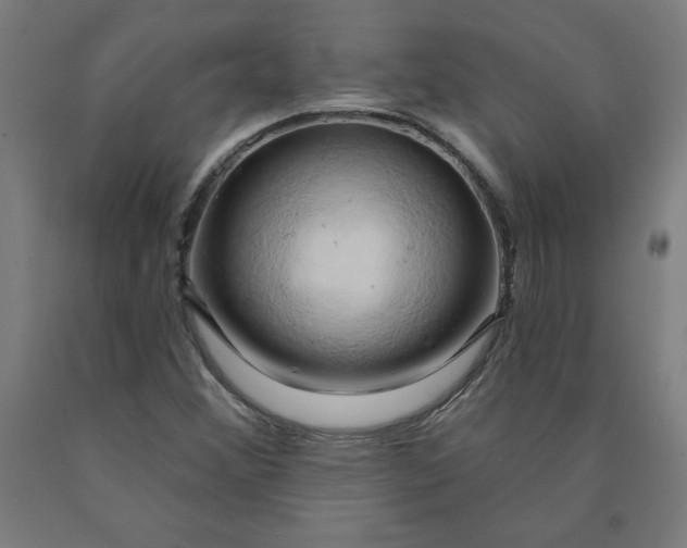 X0000090631356200707311256