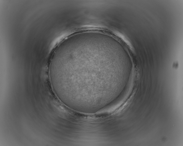 X0000090631357200707311256