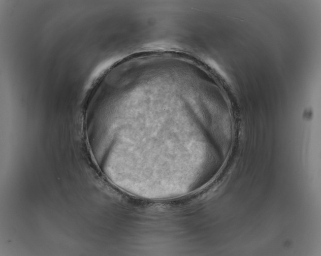 X0000090631358200707311256