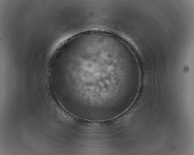 X0000090631359200707311256