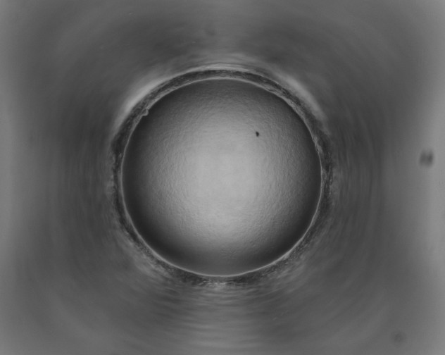 X0000090631360200707311256