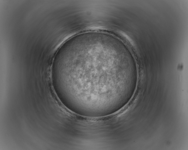 X0000090631361200707311256