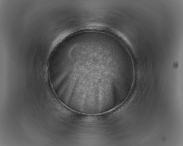 X0000090631362200707311256