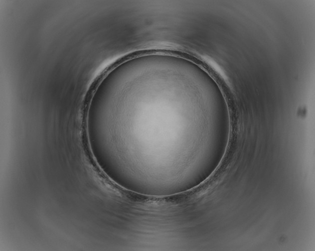 X0000090631364200707311256