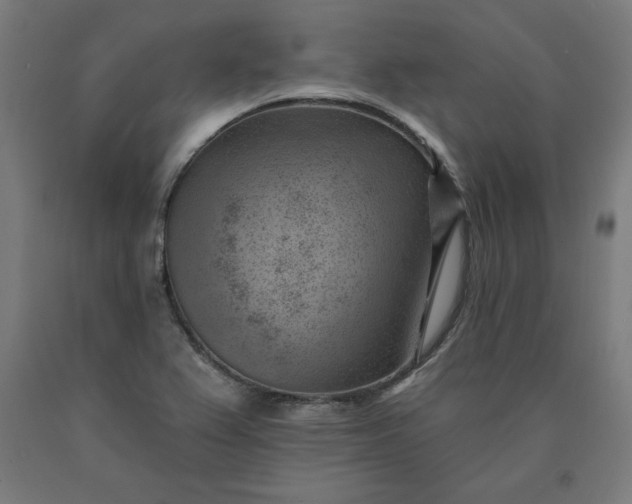 X0000090631367200707311256