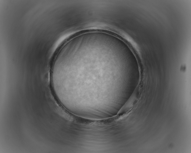 X0000090631368200707311256