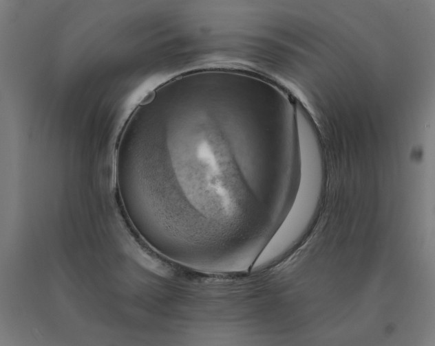 X0000090631371200707311256