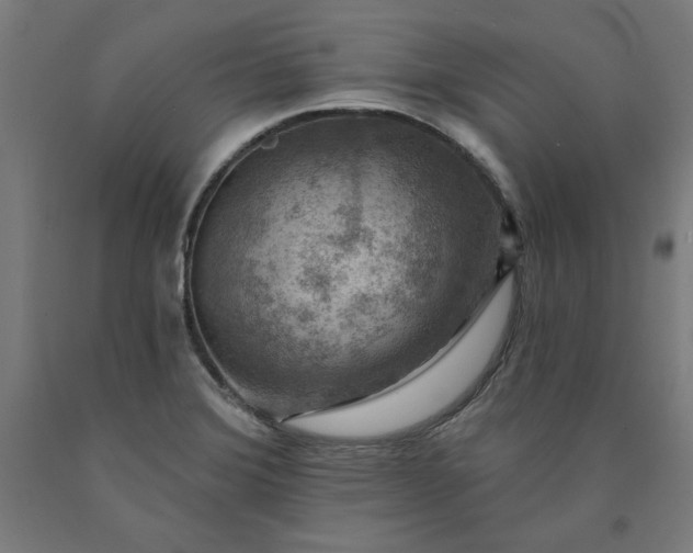 X0000090631372200707311256