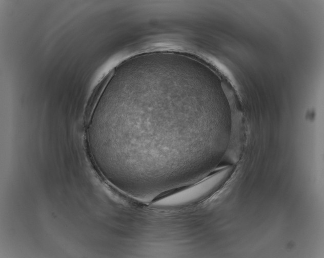 X0000090631373200707311256