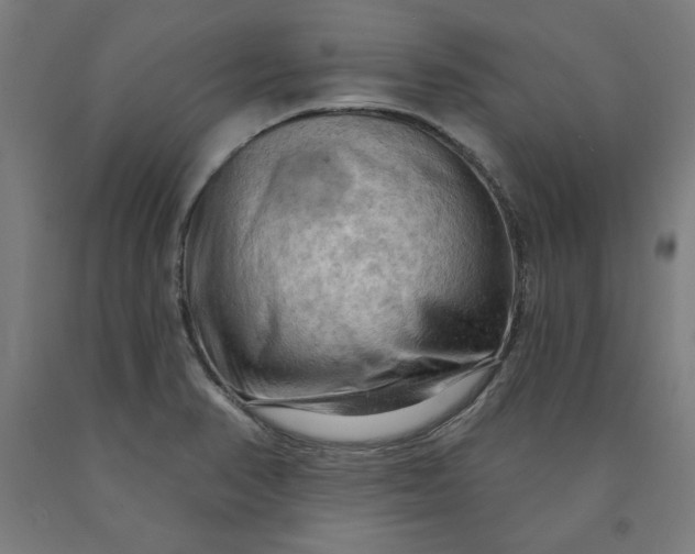 X0000090631374200707311256