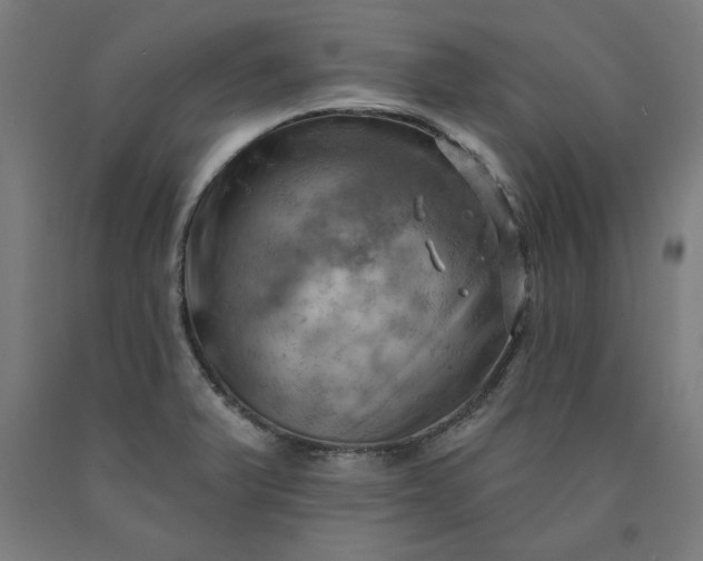 X0000090631375200707311256