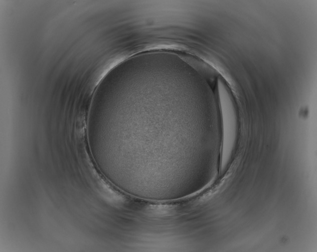 X0000090631377200707311256