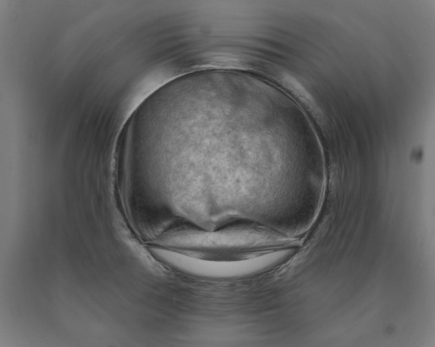 X0000090631378200707311256