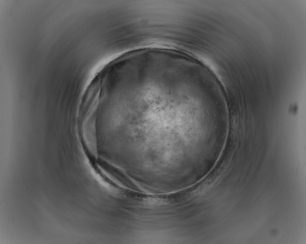X0000090631379200707311256