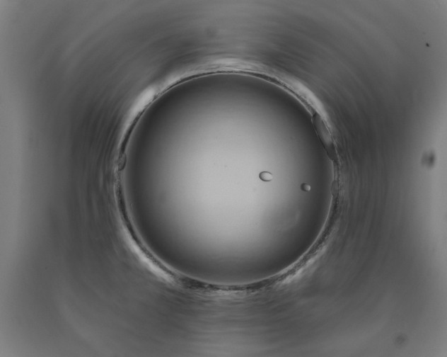 X0000090631381200707311256