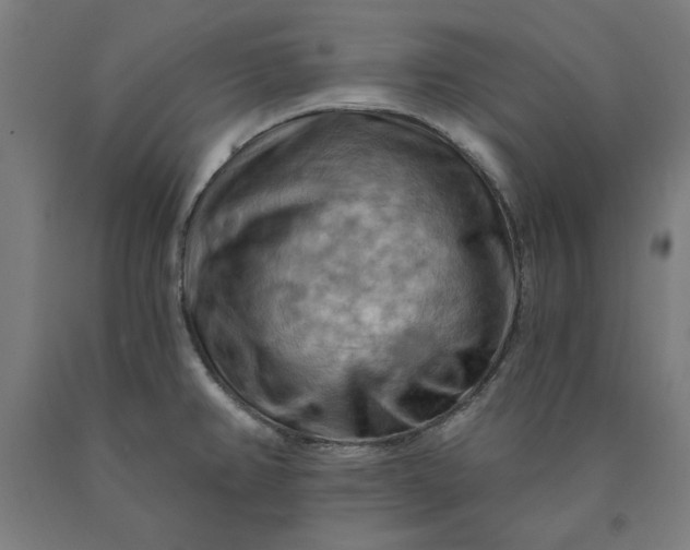 X0000090631382200707311256
